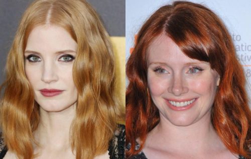 Bryce Dallas Howard Plastic Surgery