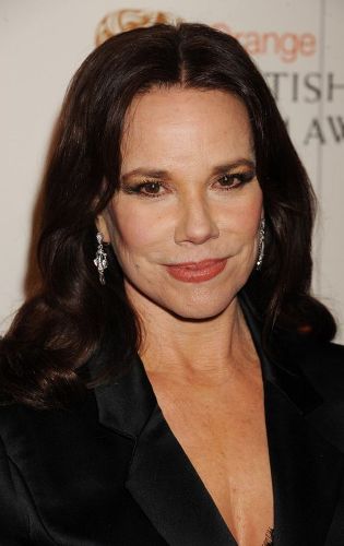 Barbara Hershey Plastic Surgery