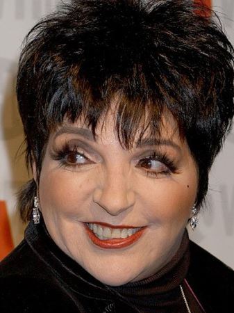 Liza Minnelli Plastic Surgery | Look, She’s Had Her Face Done – Surgery ...