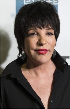 Liza Minnelli Plastic Surgery | Look, She’s Had Her Face Done – Surgery ...