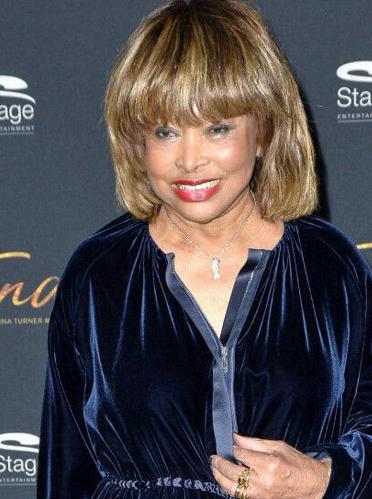 Tina Turner Plastic Surgery