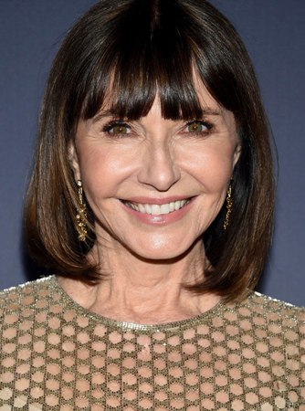 Mary Steenburgen Plastic Surgery