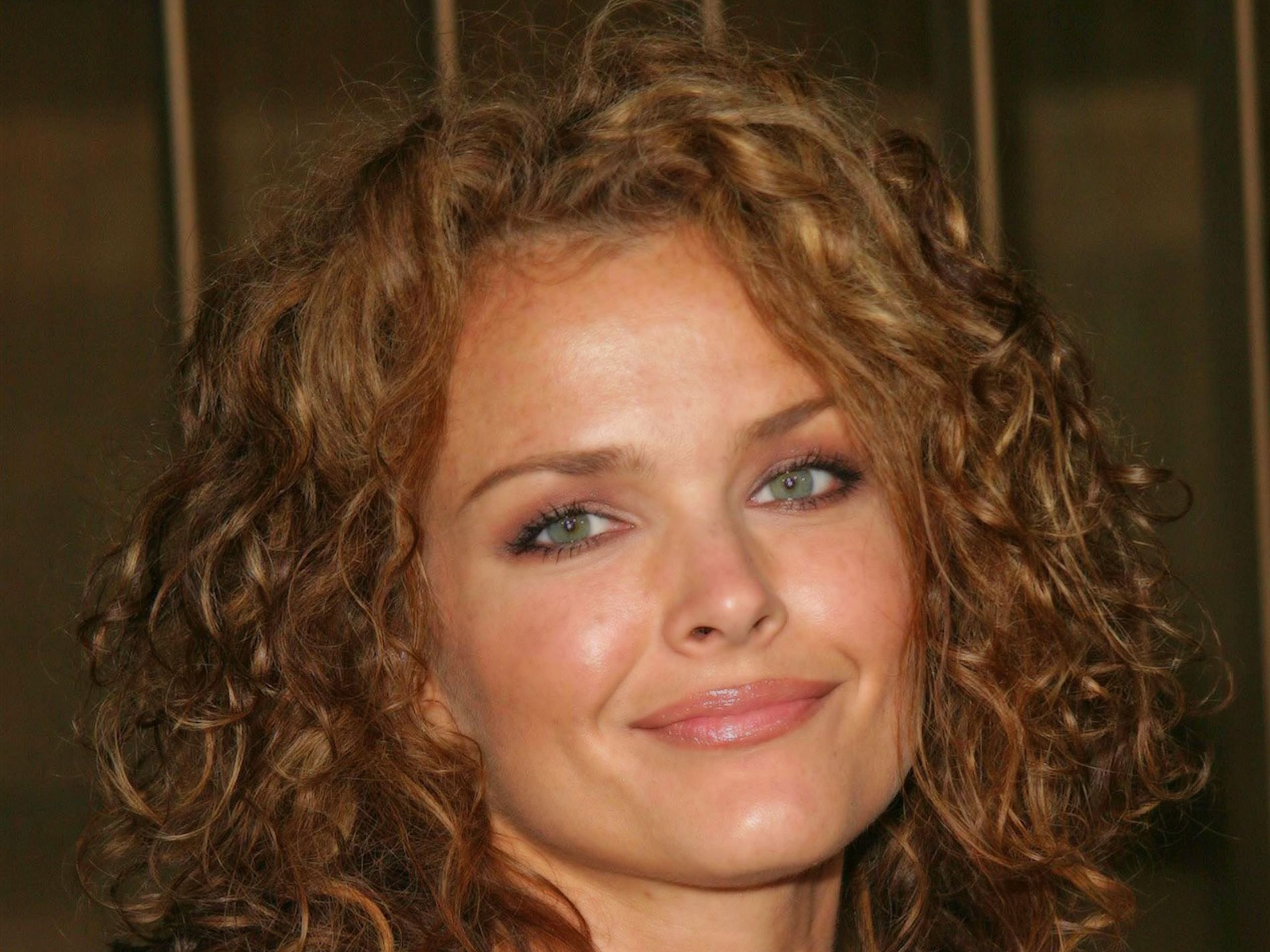 Dina Meyer Plastic Surgery and Body Measurements